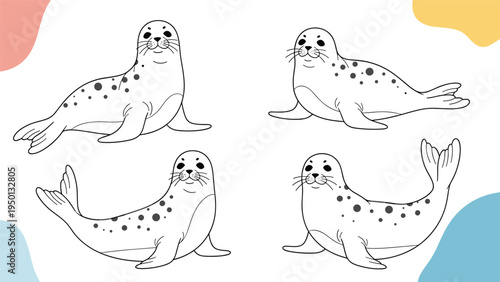 Set of four hand drawn harbor seal illustrations in different poses with spotted fur and cute expressions for marine life and wildlife art.
