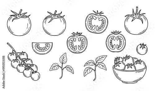 Hand drawn tomato vegetable doodle set with whole sliced cherry tomatoes and fresh food outline icons