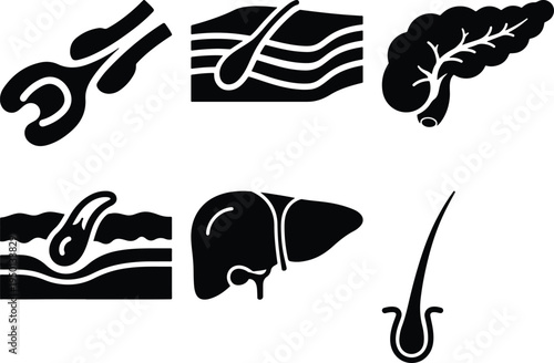 Medical Icons Set: Organs and Skin Anatomy Illustrations