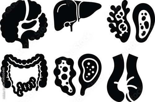 Set of Human Internal Organ Icons: Liver Intestines Kidneys Brain Lungs StomachStock Icons