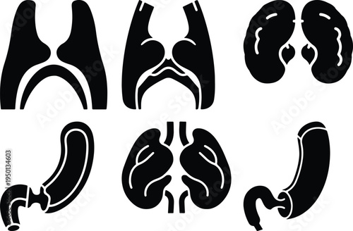 Set of Internal Organ Silhouettes: Lungs Kidneys StomachMedical Icons