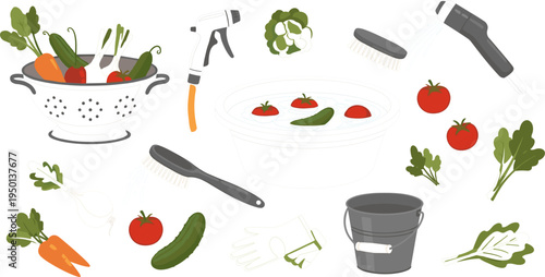 Vegetable Cleaning and Harvesting Tools Set with Tomatoes, Carrots, Cucumbers, Water Basin, Gloves, and Brush for Garden Care