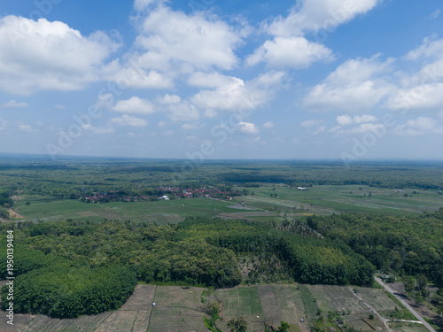 Aerial landscape of sustainable community forest and teakwood plantation under a clear blue sky.