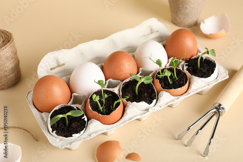 Cardboard box with egg shel...