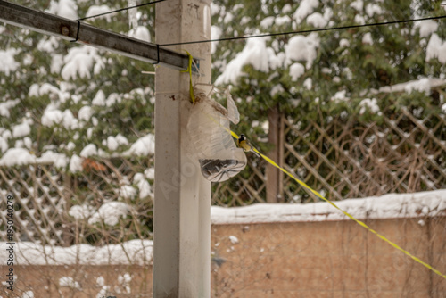 Bird feeding in winter setting with wrapped food hanging from pole in snowy backyard