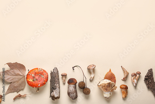 Obraz na płótnie Composition with mushrooms, tree bark and autumn leaves on beige background