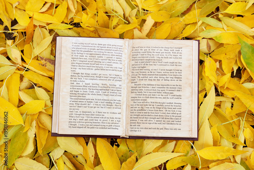 Book on autumn leaves in park