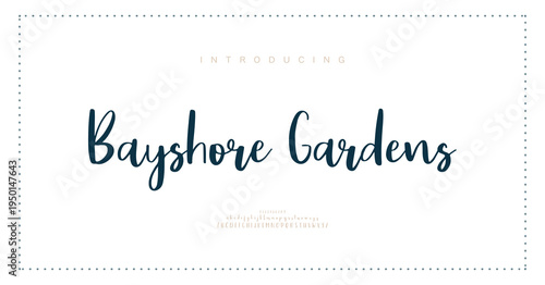 Bayshore Gardens, Script premium luxury elegant alphabet letters and numbers. Elegant wedding typography classic serif font decorative vintage retro. Creative vector illustration
