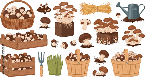 Edible Mushroom Harvest and Cultivation Vector Set Featuring Forest Mushrooms, Basket Collection, Wooden Crates, Mushroom Growing Blocks, Gardening Tools, and Organic Farming Illustration