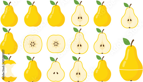 Yellow pear fruit collection with whole pears, slices and halves. Fresh juicy pear illustrations set for healthy food, grocery, dessert and organic fruit design.