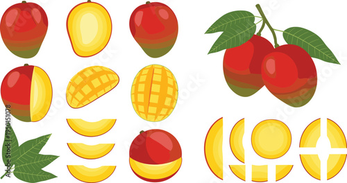 Mango fruit set with whole mangoes, slices and cross cut pieces. Fresh tropical mango collection with leaves for smoothie, dessert and healthy food design.