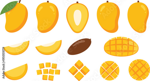 Mango fruit icon set with whole mango, slices, cubes and cross cut pieces. Fresh tropical mango illustrations for smoothie, dessert and healthy food design.
