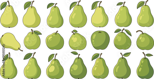 Green pear fruit collection with different shapes and styles. Fresh organic pears icon set for healthy food, grocery, dessert and fruit design.