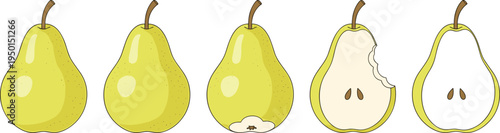 Pear fruit illustration set with whole, bitten and sliced pear. Fresh green pear icons collection for healthy food, grocery, dessert and organic fruit design.
