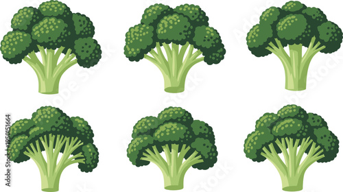Broccoli vegetable icon set with different shapes and styles. Fresh green broccoli illustrations. Organic farm vegetable collection for healthy food, cooking and nutrition design.