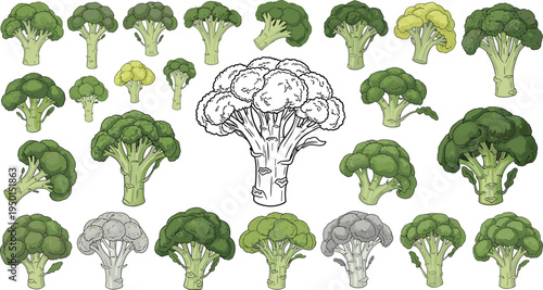 Broccoli vegetable collection with multiple shapes and styles. Fresh green broccoli icons and outline illustration. Organic farm vegetable set for healthy food and agriculture design.
