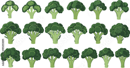 Broccoli vegetable icon collection with different shapes and styles. Fresh green broccoli set. Organic farm vegetable illustrations for healthy food, nutrition and agriculture design.