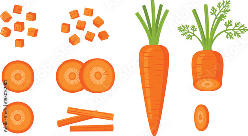 Carrot cutting set with slices, cubes and sticks. Fresh orange carrot pieces and whole vegetables with green leaves. Healthy food ingredient for cooking design.