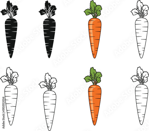 Carrot vegetable icon set. Fresh organic carrot illustrations with leaf tops in color and outline styles. Farm vegetable collection for food, agriculture, nutrition design.