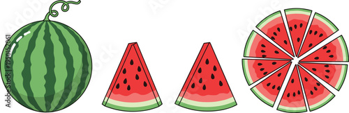 Watermelon fruit set with whole melon, slices and round cut pieces. Fresh summer watermelon illustrations for dessert, picnic, juice and healthy food design.