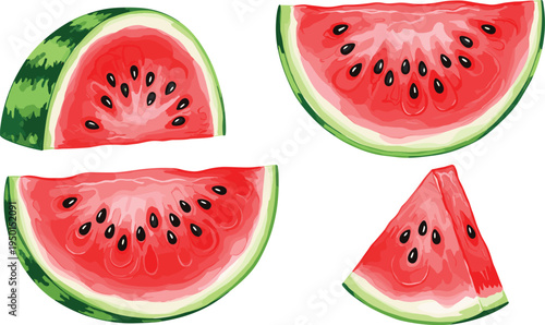 Juicy watermelon slices illustration set. Fresh red watermelon pieces with seeds and rind. Summer fruit collection for dessert, picnic, juice and healthy food design.
