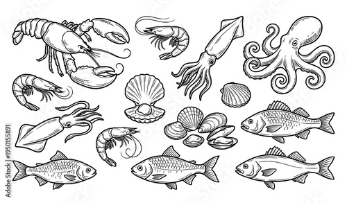 Seafood line art vector set lobster shrimp squid octopus scallops shellfish fish isolated on white background