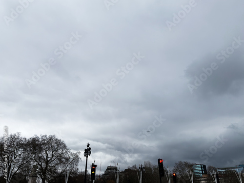 Wallpaper Mural Overcast London street scene with bare trees, ornate lampposts, and red traffic signals at dusk Torontodigital.ca