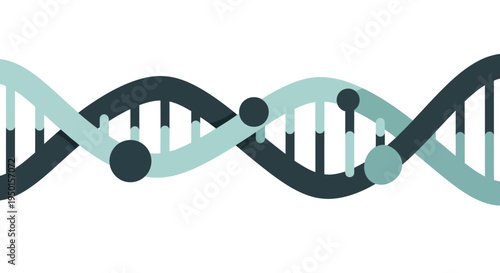 A stylized illustration of a DNA double helix structure with two intertwined strands in shades of blue and teal, featuring circular elements representing base pairs.