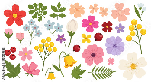 Beautiful assortment of colorful wildflowers and delicate floral elements for artistic designs and decorations