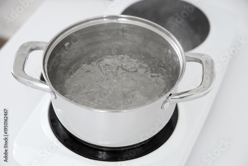 Stainless steel pot with bo...