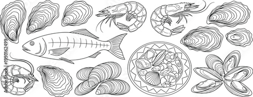 Seafood set cad drawing flat vector illustration with fish, shrimp, oysters, mussels, prawns, and shells isolated on white for menu.