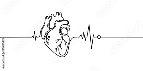 Continuous one line drawing of anatomical heart with heartbeat pulse