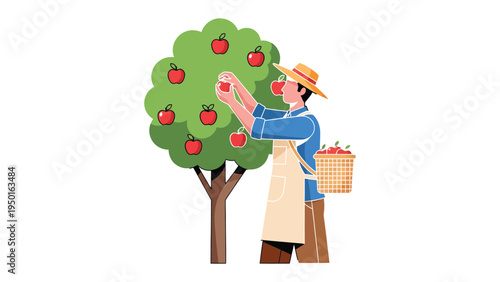 Harvesting Apples: A person picks ripe red apples from a bountiful tree, gathering them in a woven basket. the image capture moment of season's harvest and the fruits of labor.