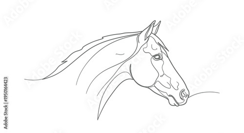 Horse head silhouette minimalist line art profile with a minimalist