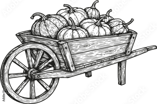 Hand drawn wooden wheelbarrow filled with pumpkins autumn harvest, farm garden produce, rustic vintage illustration