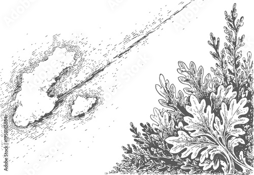 Meteor fireball streaking across the sky over forest with oak and pine trees illustration