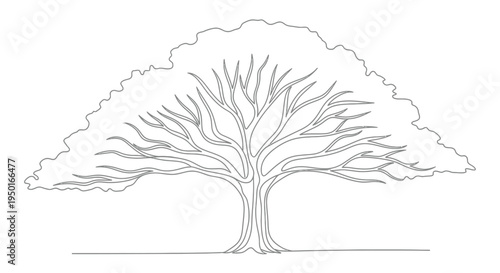 Single line drawing of a large spreading tree with continuous line