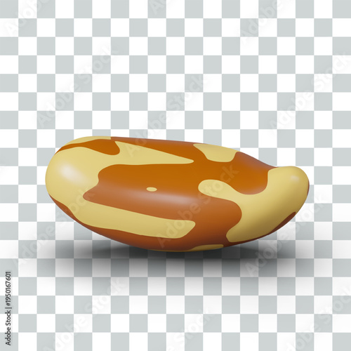 Realistic Brazil nut, isolated vector image. High calorie natural product, valuable ingredient