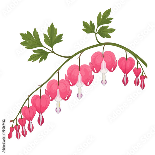 A vector illustration of a delicate bleeding heart flower branch with lush green leaves and vibrant pink heart-shaped blossoms swaying gently outdoors.