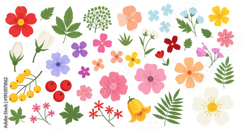 A diverse collection of vibrant floral illustrations, featuring a variety of blossoms and leaves in a pleasing arrangement