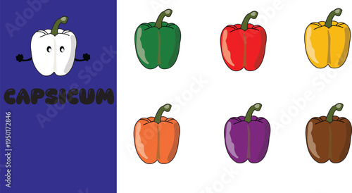 Set of colorful capsicum bell pepper icons in various shades for food design and agricultural vector illustration