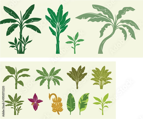  Set of Hand-Drawn Banana Tree Illustrations and Tropical Botanical Elements