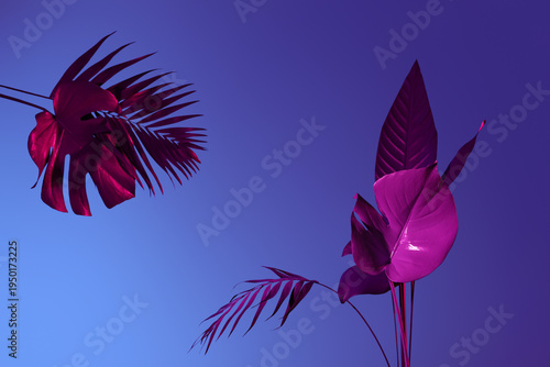 Different neon tropical lea...
