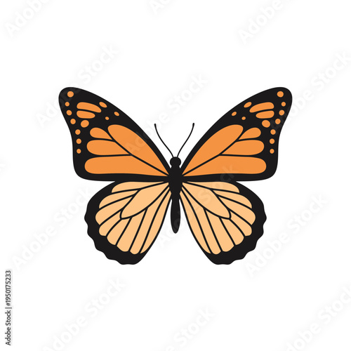 Orange Monarch Butterfly Isolated on White