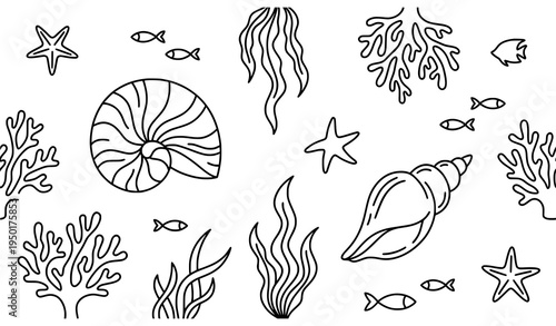 Minimal ocean life line art vector set with shells coral seaweed and fish black and white isolated on white background