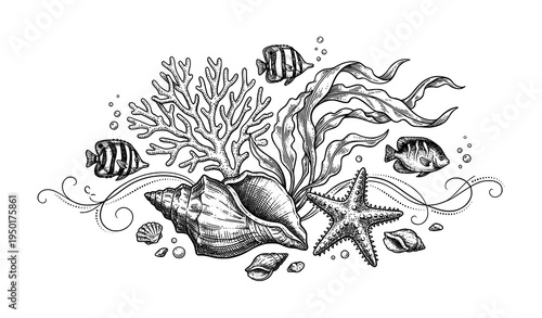 Black and white sea life sketch vector illustration with shells seaweed coral and marine creatures isolated on white background