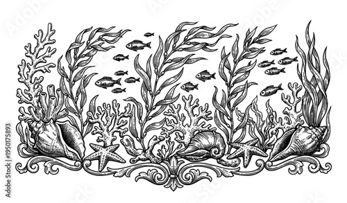 Vintage marine life engraving vector illustration with seashells coral seaweed and fish black and white isolated on white background