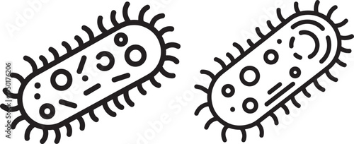 Outline Illustration of Two Bacteria Cells with Line Art