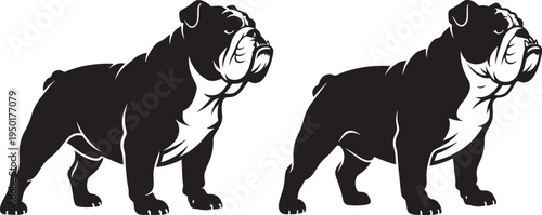 Bulldog Dog Silhouette Icon Black and White Graphic on White Background with Design Element with Dog Breed with English Bulldog with Family Pet with Animal Illustration