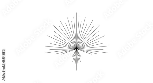 Metallic sculpture with thin wires radiating.